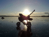 03012009_baltic_sea_i.gif