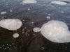 03012009_baltic_sea_iii.gif