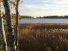 helsinki_impressions_2.gif