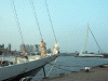 rotterdam_erasmusbridge.gif