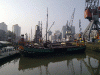 rotterdam_harbour.gif