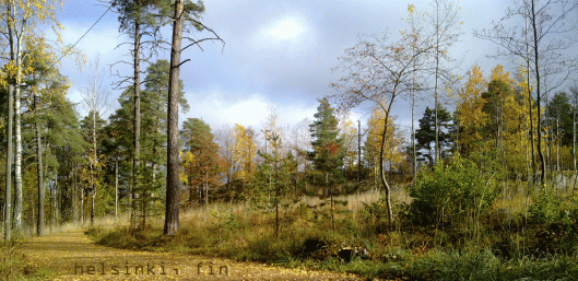 12102008039_uphill_course.gif