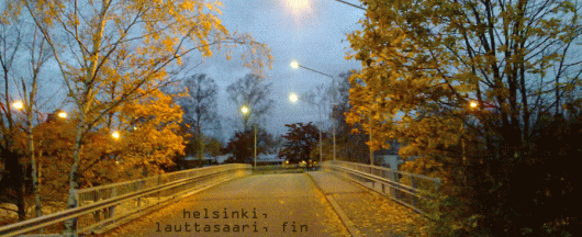 17102008043_lauttasaari.gif